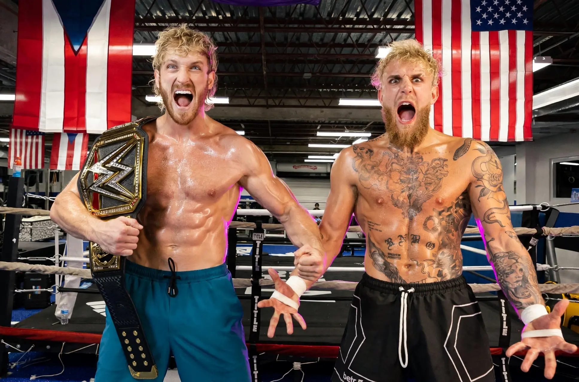 Jake et Logan Paul vont diriger une nouvelle émission de téléréalité axée sur la compétition de combat pour Hulu et ESPN