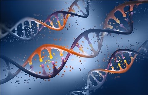 Antibody Pair Products