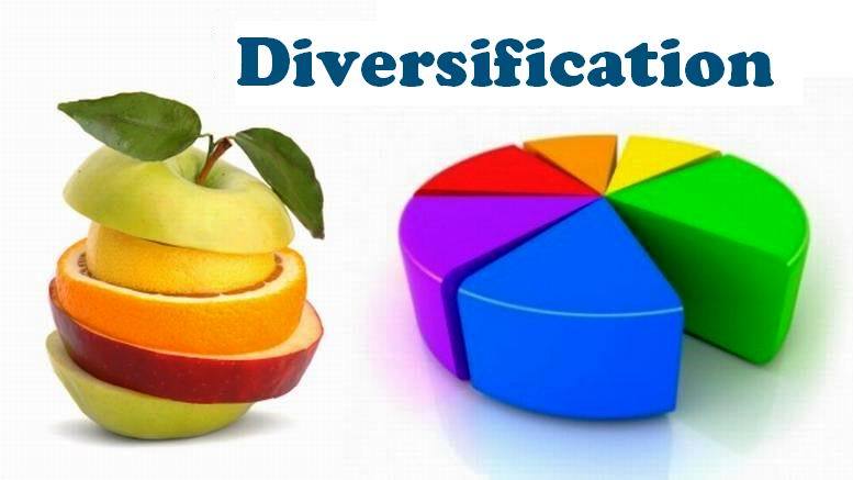 Investment Diversification A Key of Financial Success